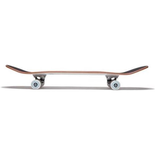  [CCS] Skateboard Complete - Maple Wood - Professional Grade - Fully Assembled with Skate Tool and Stickers - Adults, Kids, Teens, Youth - Boys and Girls