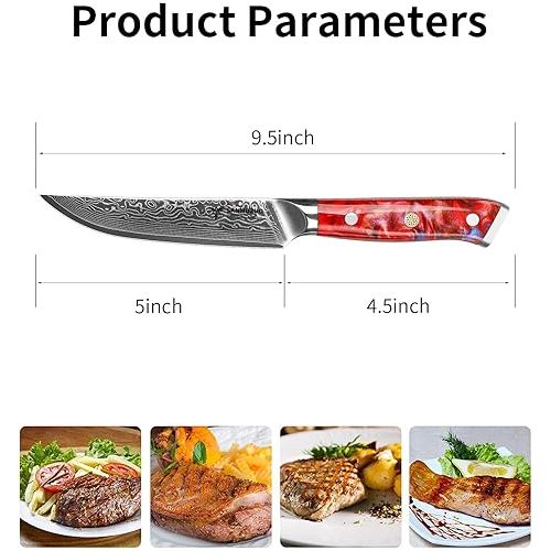  SANMUZUO Steak Knife Set, 4-Piece Damascus Knife 13 cm Blade - Steak Cutlery Knife Set - VG 10 Damascus Steel Kitchen Knife with Resin Handle - Xuan Series (Sunset Red)