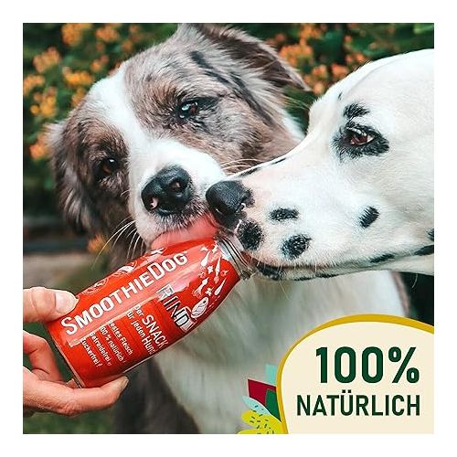  SmoothieDog Dog Smoothie 6-Piece Tasting Set - Natural Dog Snack for All Dogs, with High-Quality Ingredients, Gluten and Sugar Free, 3 Delicious Varieties - Lamb, Beef, Chicken, 6 x 250 ml