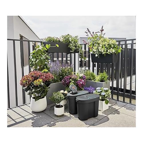  Gardena AquaBloom 13301-20 Solar Watering Set Including Water Reservoir: Solar Powered Watering Set for up to 20 Balcony Plants, Control Unit with 14 Irrigation Programmes