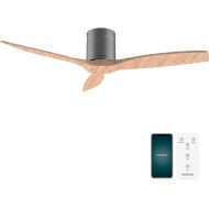 Cecotec - Deckenventilatoren EnergySilence Aero 5500 Aqua IronLightWood Connected, DC 40 W Motor, Wi-Fi-Steuerung, Innen- und Außengebrauch, 3 Flugel, 6 Geschwindigkeiten, Eisenweißholz