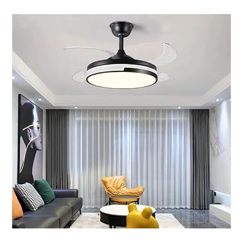  Bel Air Home - Robin Ceiling Fan with DC Motor and Removable Blades with LED Light 36W (3000K 4000K 6500K) with Remote Control (Black)