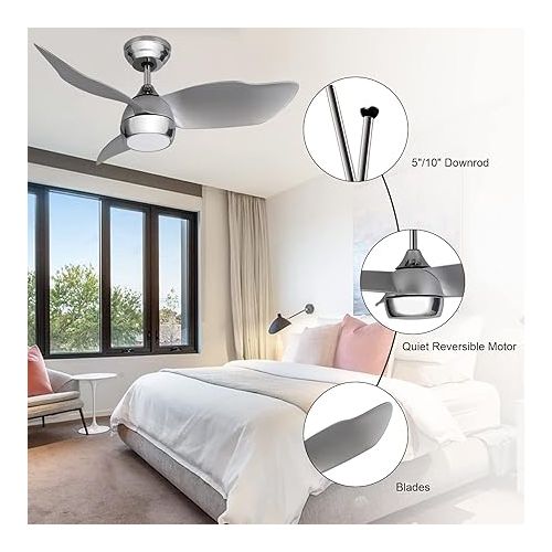  Ovlaim 91.5 cm Silver Ceiling Fan with Lighting, Modern Ceiling Fans with Remote Control Timer DC Motor 3 Reversible Blades for Bedroom Living Room