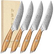 HEZHEN Damascus Steak Knife Set, 73 Layers Damascus Steel Steak Knife Without Serrated Edge Table Knife, Full Tang Wooden Handle