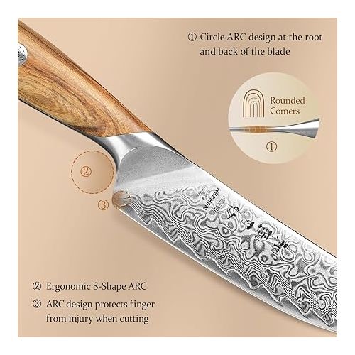  HEZHEN Damascus Steak Knife Set, 73 Layers Damascus Steel Steak Knife Without Serrated Edge Table Knife, Full Tang Wooden Handle