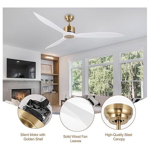  reiga 165 cm Modern Smart Ceiling Fan with WiFi / Alexa / Smart App / Remote Control, DC Motor, 6 Speeds, Timer for Garage, Farmhouse