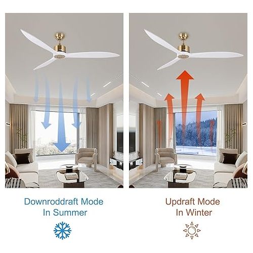  reiga 165 cm Modern Smart Ceiling Fan with WiFi / Alexa / Smart App / Remote Control, DC Motor, 6 Speeds, Timer for Garage, Farmhouse