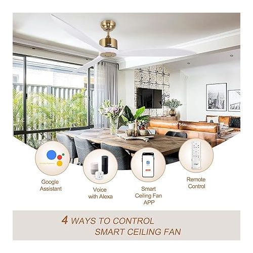  reiga 165 cm Modern Smart Ceiling Fan with WiFi / Alexa / Smart App / Remote Control, DC Motor, 6 Speeds, Timer for Garage, Farmhouse