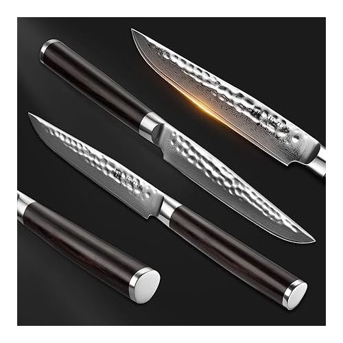  XINZUO He Series 4-Piece Steak Knife Set, 12.4 cm Steak Cutlery for 4 People, Professional Damascus Steel Steak Knife Sharp Kitchen Knife, Beautiful Gift Box with Ergonomic Pakkawood Handle