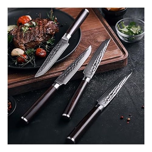  XINZUO He Series 4-Piece Steak Knife Set, 12.4 cm Steak Cutlery for 4 People, Professional Damascus Steel Steak Knife Sharp Kitchen Knife, Beautiful Gift Box with Ergonomic Pakkawood Handle