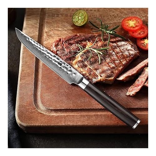  XINZUO He Series 4-Piece Steak Knife Set, 12.4 cm Steak Cutlery for 4 People, Professional Damascus Steel Steak Knife Sharp Kitchen Knife, Beautiful Gift Box with Ergonomic Pakkawood Handle