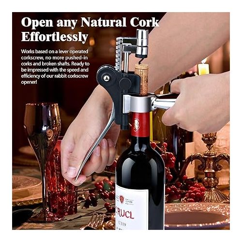  Corkscrew Wine Gift Set, Bottle Opener, Premium Wine Opener Set with Capsule Cutter, Wine Pourer, Vacuum Wine Stopper, for All Types of Corks, Gift for Men and Women