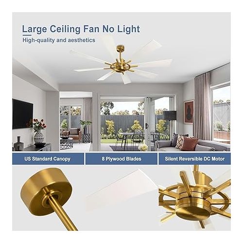  Depuley 60 Inch Modern Ceiling Fan with Remote Control, Quiet Ceiling Fan without Light, Speed, White with Gold 8 Blades, for Bedroom, Kitchen, Living Room, Balcony