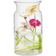 TREND FOR HOME Large Glass Vase High 29.5 cm Flower Vase Large Floor Vase Glass Large Vase Amaryllis Vase Tulips Round Glass Vase Cylinder Transparent Large Vases for Floor Diameter 16 cm Sunflower