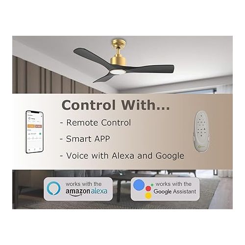  OFANTOP Ceiling Fan with Lighting and Remote Control, Quiet Ceiling Fans, Diameter 132 cm, WiFi, Alexa, App, Timer, Summer/Winter Operation - Black Gold