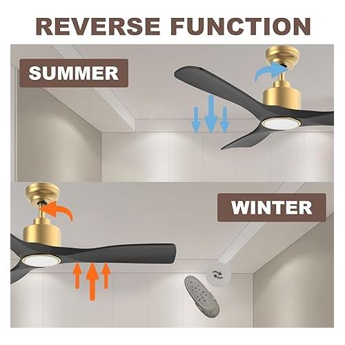  OFANTOP Ceiling Fan with Lighting and Remote Control, Quiet Ceiling Fans, Diameter 132 cm, WiFi, Alexa, App, Timer, Summer/Winter Operation - Black Gold