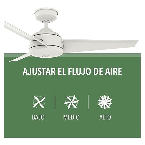  HUNTER Fan styles, 117 cm, indoor ceiling fan with lighting/remote control, premiere bronze housing, 5 reversible blades in dark walnut and black walnut, for summer/winter, mod. 50641
