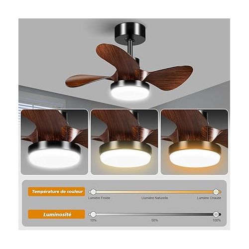  Quiet Ceiling Fan with Lighting and Remote Control