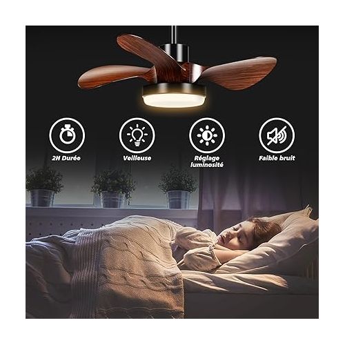  Quiet Ceiling Fan with Lighting and Remote Control