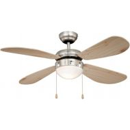 Classic Ceiling Fan with Lighting, 105 cm, FN43335