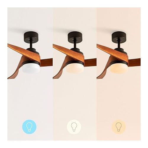  CREATE / Wind Curve / Ceiling Fan with Lighting, Black Dark Wood Wings with Lighting, WLAN and Remote Control, 40 W, Quiet, Diameter 132 cm, 6 Speeds, Timer, DC Motor, Summer Winter Operation