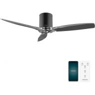 Cecotec - Deckenventilatoren EnergySilence Aero 5285 BlackTransparent Connected, DC 40W Motor, Durchmesser 132 cm, niedriger Verbrauch, WLAN, Kontrolle, Außenbereich, Timer, Sommer und Winter, Leise