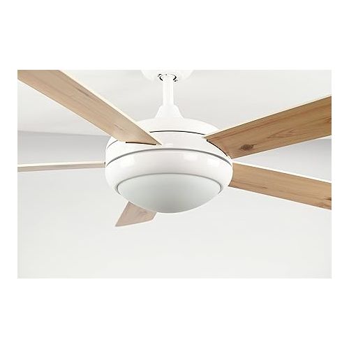  AireRyder Ursa Ceiling Fan with Lighting, Elegant Fan with Reversible Blades in White/Pine, Includes Remote Control, 132 cm Diameter (Colour: White & White/Pine)