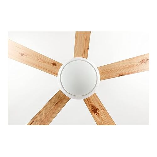  AireRyder Ursa Ceiling Fan with Lighting, Elegant Fan with Reversible Blades in White/Pine, Includes Remote Control, 132 cm Diameter (Colour: White & White/Pine)