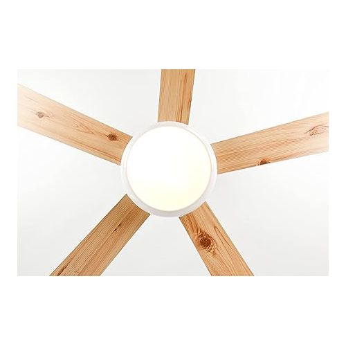  AireRyder Ursa Ceiling Fan with Lighting, Elegant Fan with Reversible Blades in White/Pine, Includes Remote Control, 132 cm Diameter (Colour: White & White/Pine)