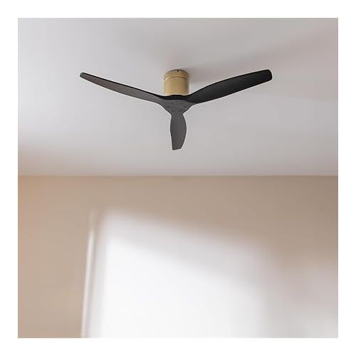  Cecotec - Deckenventilatoren EnergySilence Aero 5500 Aqua GoldBlack Connected, DC 40 W Motor, Wi-Fi-Steuerung, Innen- und Außengebrauch, 3 Flugel, 6-Geschwindigkeit, Gold & Schwarz