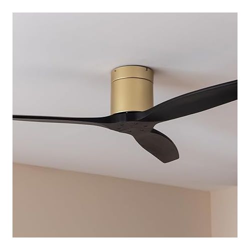  Cecotec - Deckenventilatoren EnergySilence Aero 5500 Aqua GoldBlack Connected, DC 40 W Motor, Wi-Fi-Steuerung, Innen- und Außengebrauch, 3 Flugel, 6-Geschwindigkeit, Gold & Schwarz