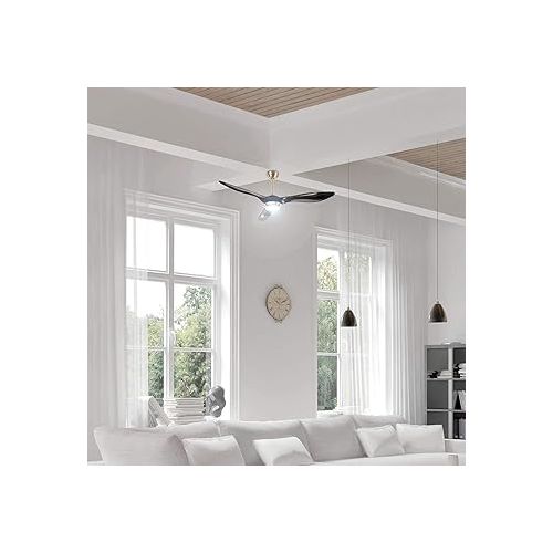  Sichler Haushaltsgerate Smart Ceiling Fan: 2-in-1 WiFi Ceiling Fan & LED Lamp, Voice Control, Timer, 1000 lm (Ceiling Fan Alexa Compatible, Ceiling Fan Smart Home)