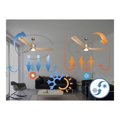  PUR LINE MljetD166 Purline Ceiling Fan Diameter 166 cm with LED and WiFi Reversible Hypersilence Colour Gold