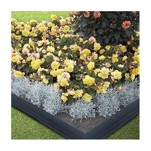  XMTECH Flower Bed Edging Plastic Lawn Edging Flexible Garden Flower Bed Edging Mowing Edge Flower Bed Border Garden Border 9.6 cm High Length 6 m Anthracite