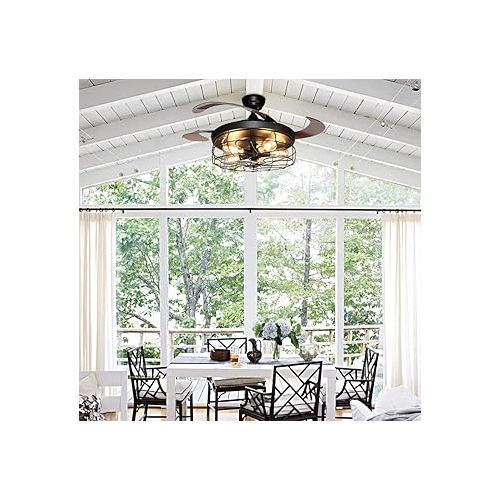  Depuley LED Ceiling Fan with Lighting and Remote Control, Industrial Ceiling Light with Timer, Dimmable, 3 Colour Changes, Adjustable 3 Speeds, Quiet for Living Room (Without Bulb)