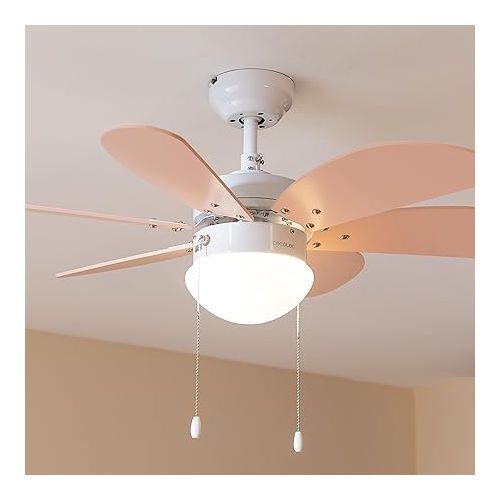  Cecotec EnergySilence 3600 Vision Nude Ceiling Fan, 50 W, Diameter 91 x 37 cm, Lamp, 3 Speeds, 6 Reversible Blades, Summer/Winter Function, Pull Chain, White/Nude
