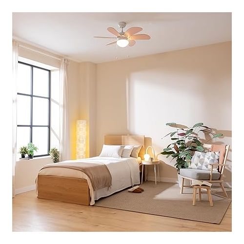  Cecotec EnergySilence 3600 Vision Nude Ceiling Fan, 50 W, Diameter 91 x 37 cm, Lamp, 3 Speeds, 6 Reversible Blades, Summer/Winter Function, Pull Chain, White/Nude