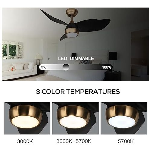  OFANTOP 91.5 cm Black and Gold Small Ceiling Fan with Light and Remote Control, Quiet for Bedroom, Children's Room, DC Motor, Summer, Winter, Modern Ceiling Fan with LED Lighting, Dimmable