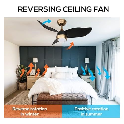  OFANTOP 91.5 cm Black and Gold Small Ceiling Fan with Light and Remote Control, Quiet for Bedroom, Children's Room, DC Motor, Summer, Winter, Modern Ceiling Fan with LED Lighting, Dimmable