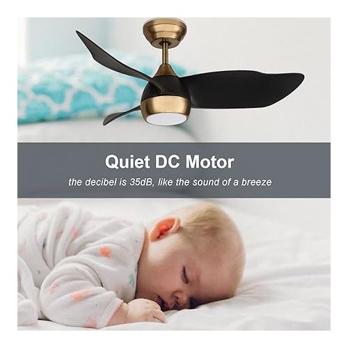  OFANTOP 91.5 cm Black and Gold Small Ceiling Fan with Light and Remote Control, Quiet for Bedroom, Children's Room, DC Motor, Summer, Winter, Modern Ceiling Fan with LED Lighting, Dimmable