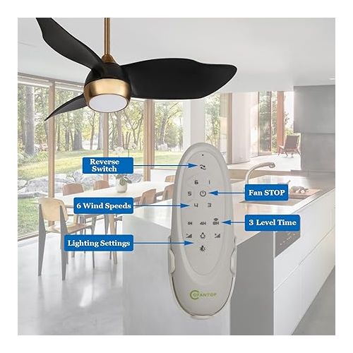  OFANTOP 91.5 cm Black and Gold Small Ceiling Fan with Light and Remote Control, Quiet for Bedroom, Children's Room, DC Motor, Summer, Winter, Modern Ceiling Fan with LED Lighting, Dimmable