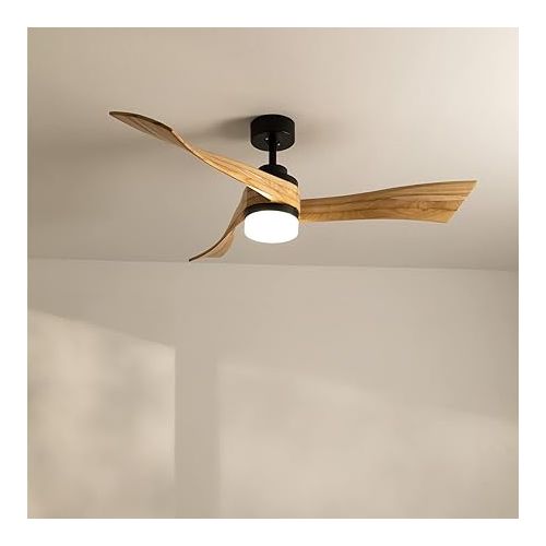  CREATE / Windlight Curve Ceiling Fan Black with Lighting and Remote Control, Natural Wood Wings / 40 W, Quiet, Diameter 132 cm, 6 Speeds, Timer, DC Motor, Summer Winter Operation