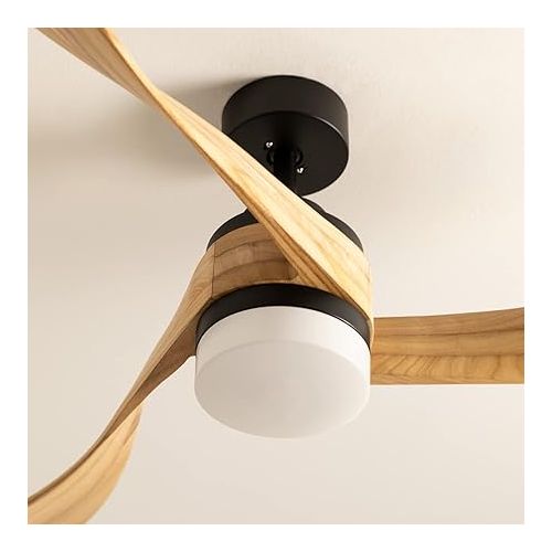  CREATE / Windlight Curve Ceiling Fan Black with Lighting and Remote Control, Natural Wood Wings / 40 W, Quiet, Diameter 132 cm, 6 Speeds, Timer, DC Motor, Summer Winter Operation