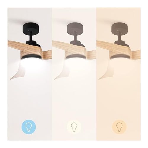  CREATE / Windlight Curve Ceiling Fan Black with Lighting and Remote Control, Natural Wood Wings / 40 W, Quiet, Diameter 132 cm, 6 Speeds, Timer, DC Motor, Summer Winter Operation