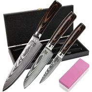 Zeuß Damascus Knife Set of 3 (32, 24 and 20 cm) Professional Damask Kitchen Knife Made of Real 67 Layers Damascus Steel with Chef's Knife, Santoku Knife, Fruit Knife, Sharpening Stone, Wooden Handle,