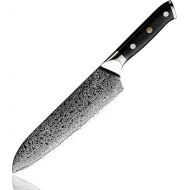 Damaso Santoku Knife (17.8 cm), Black Pearl Chef's Knife Made of 67 Layers Damascus Knife, Japanese Knife, Damask Kitchen Knife