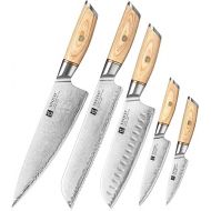 XINZUO Kitchen Knife Set of 5 Composite Steel Chef's Knife Set, 3 Layers Composite Steel 10Cr15CoMoV Steel Core, Professional Sharp Stainless Steel Knife Set with Pakka Wood Handle