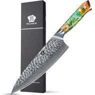 WILDMOK Damascus Knife Chef's Knife 67 Layers Damascus Steel Kitchen Knife 20.8 cm Sharp Blade with Full Tang Resin Handle