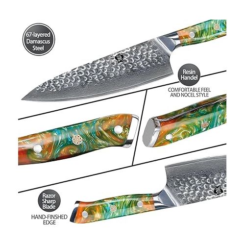  WILDMOK Damascus Knife Chef's Knife 67 Layers Damascus Steel Kitchen Knife 20.8 cm Sharp Blade with Full Tang Resin Handle