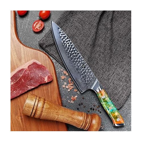  WILDMOK Damascus Knife Chef's Knife 67 Layers Damascus Steel Kitchen Knife 20.8 cm Sharp Blade with Full Tang Resin Handle